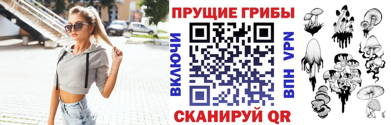 Галлюциногенные грибы Psilocybe  блэк спрут как зайти  Берёзовка 