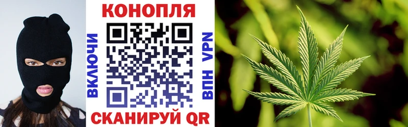 Каннабис планчик Берёзовка